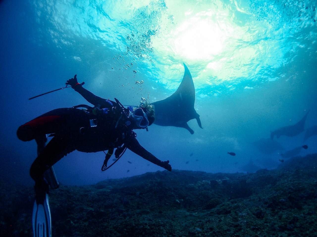 Scuba Diving Vs Snorkeling In Bali: Which Is Better? 2024