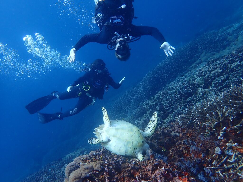 Scuba Diving in Bali, Visit Diving Destinations in Bali, Scuba Diving Course bali, Padang Bai FUN Dive Trip, Course Scuba in Bali
