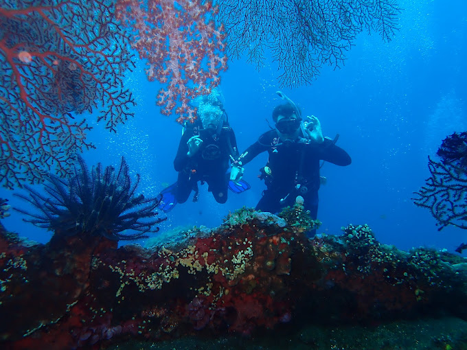 Scuba Diving in Sanur, Dive Courses in Sanur