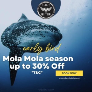 Mola-Mola