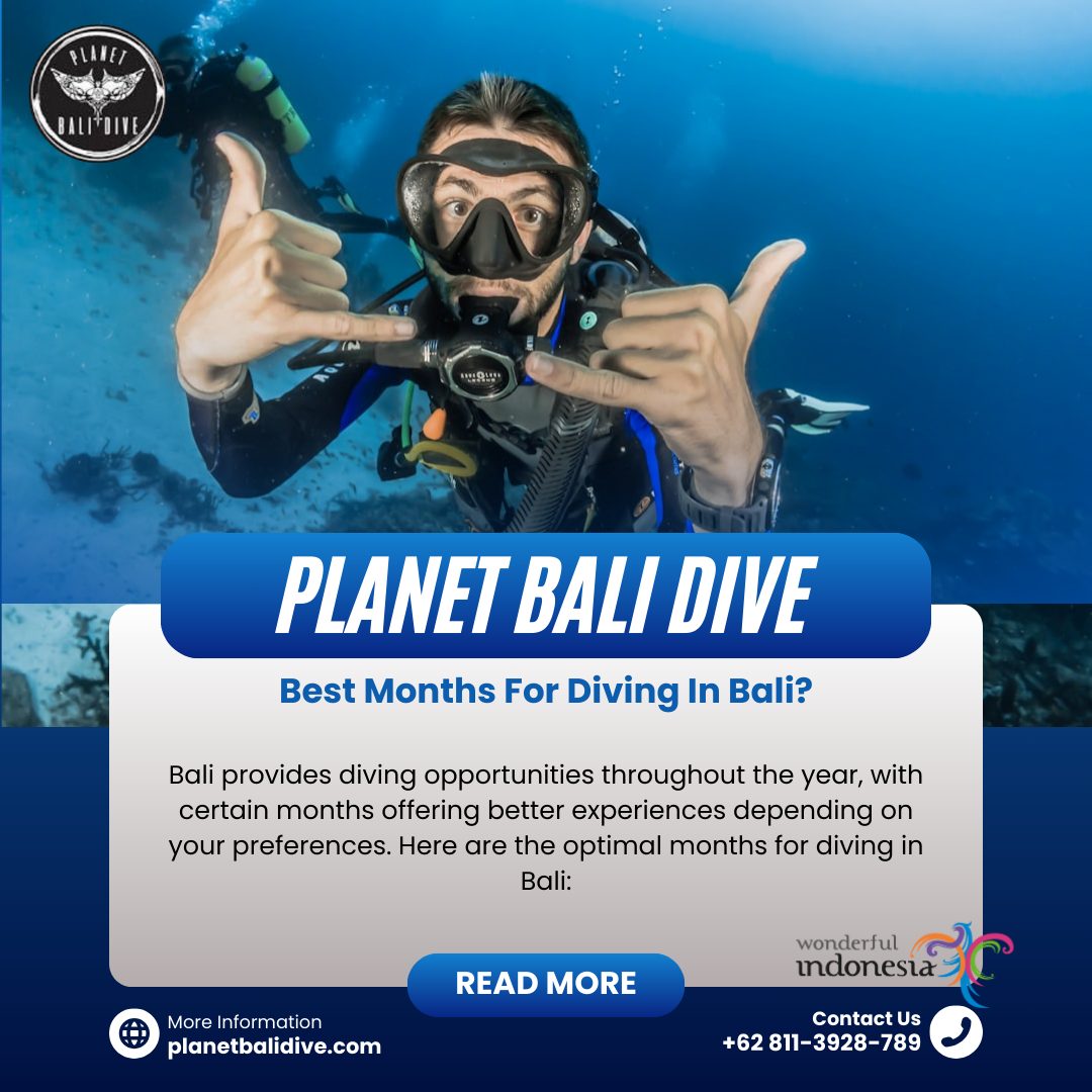 Best Months For Diving In Bali?