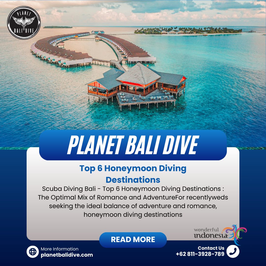 honeymoon diving destinations