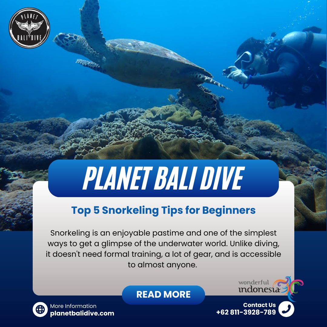 Snorkeling Tips for Beginners