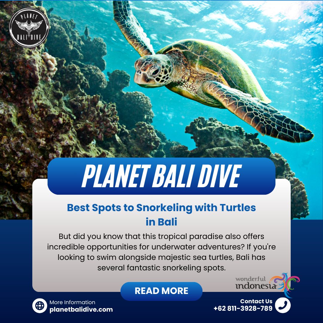 best spots snorkeling with turtles in bali