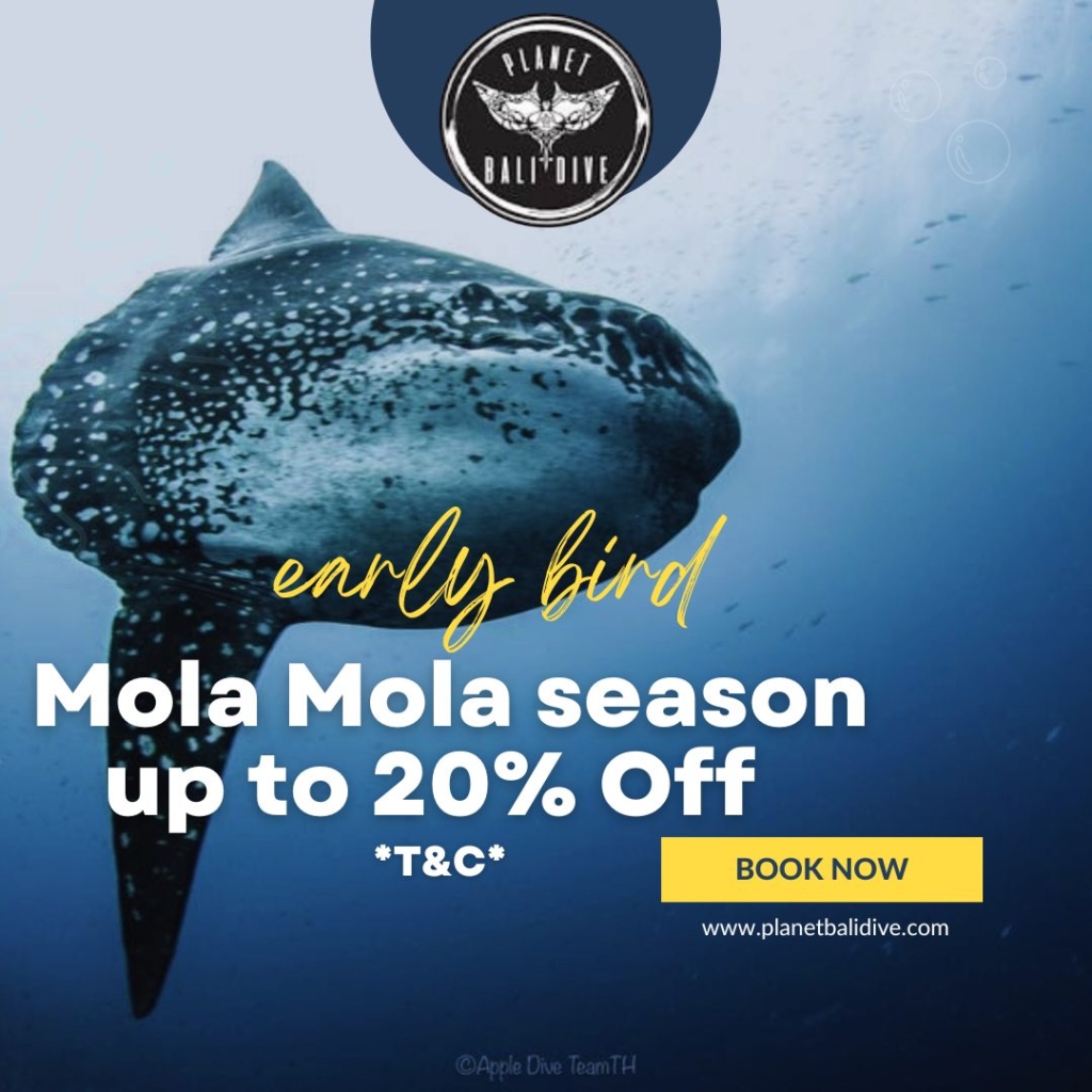 mola-mola trip bali