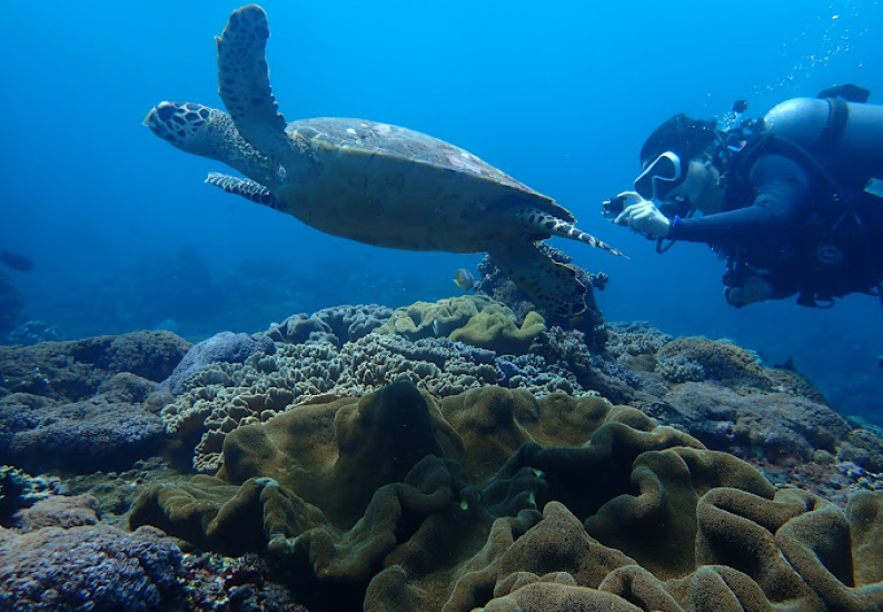 Safety Tips for Scuba Diving in Bali