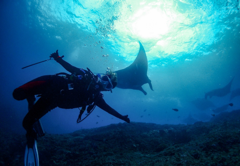 Snorkeling in Bali