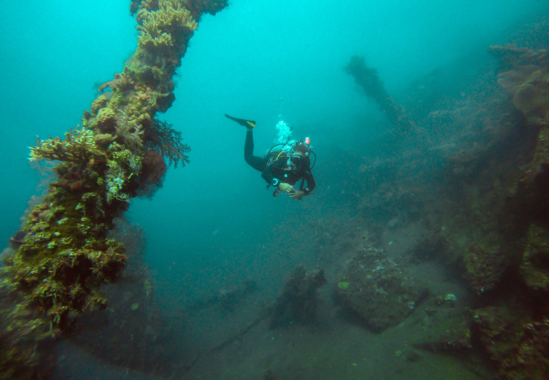 Bali Diving in Sanur, Tulamben FUN Dive Trip