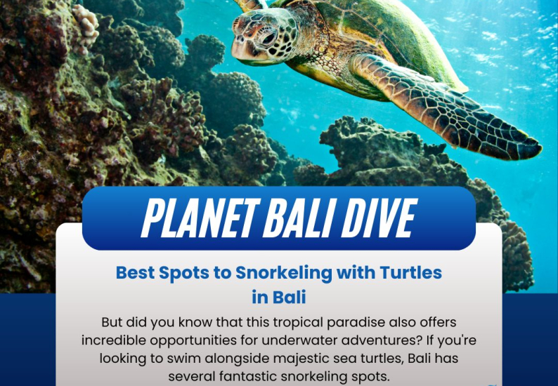 best spots snorkeling with turtles in bali