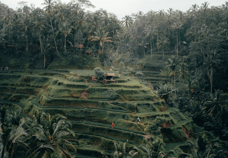 A complete guide to Bali, guide to Bali