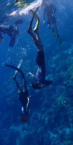 free-diving-1.jpg