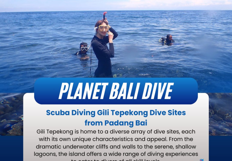 Scuba diving Gili, Scuba Diving Gili Tepekong