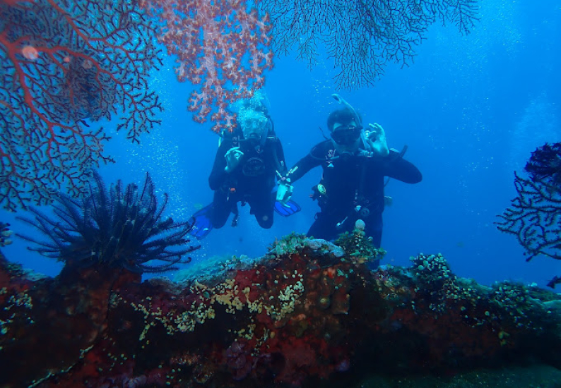 Scuba Diving in Sanur, Dive Courses in Sanur