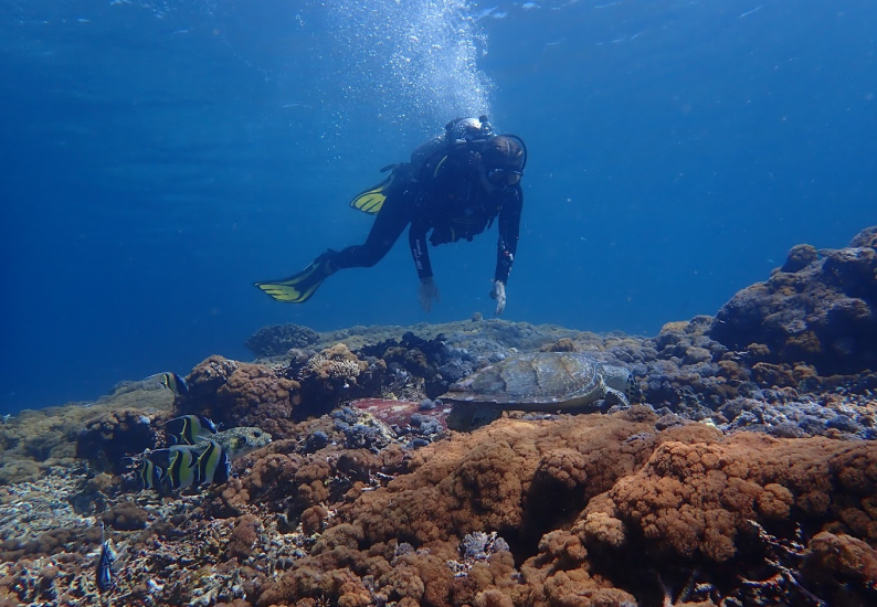 Snorkeling in Nusa Penida