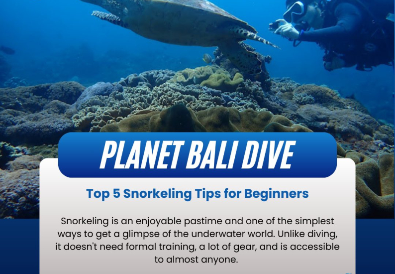 Snorkeling Tips for Beginners